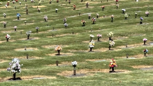 Grassy cemetery field lined with flower grave markers