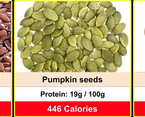 Pumpkin seed nutrition label with protein and calorie data