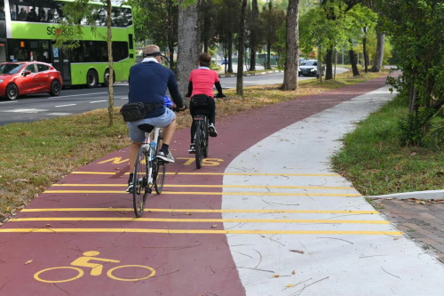 Two cyclists riding on marked red urban bike lane